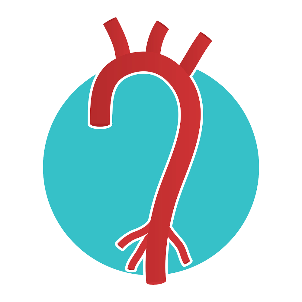 Contact Dr. Jill O'Donnell Vascular & Endovascular Surgeon