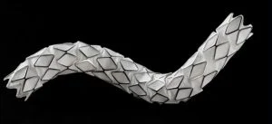 stent
